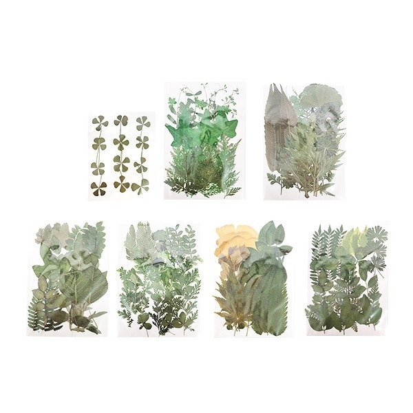 T DIY 방과후만들기 압화잎 시리즈 (1인용, 7종 택1)